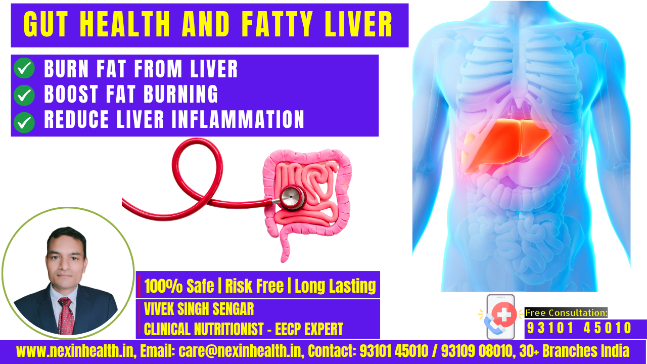 Fatty Liver and Gut Health: The Complete Guide to Reverse NAFLD Naturally