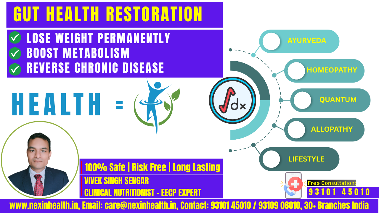 Gut Health Restoration: The Ultimate Guide to Gut Health