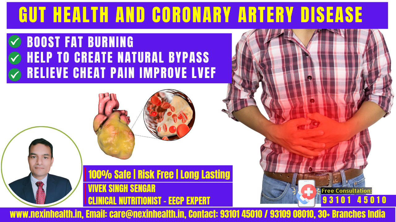 Gut Health and Coronary Artery Disease: The Hidden Connection That Could Save Your Heart