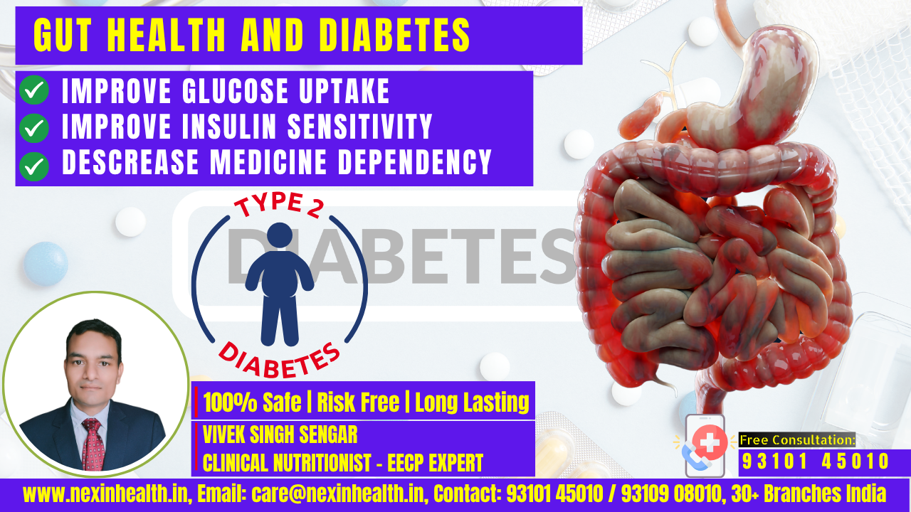 Gut Health and Diabetes: The Hidden Connection That Could Transform Your Blood Sugar Control Forever