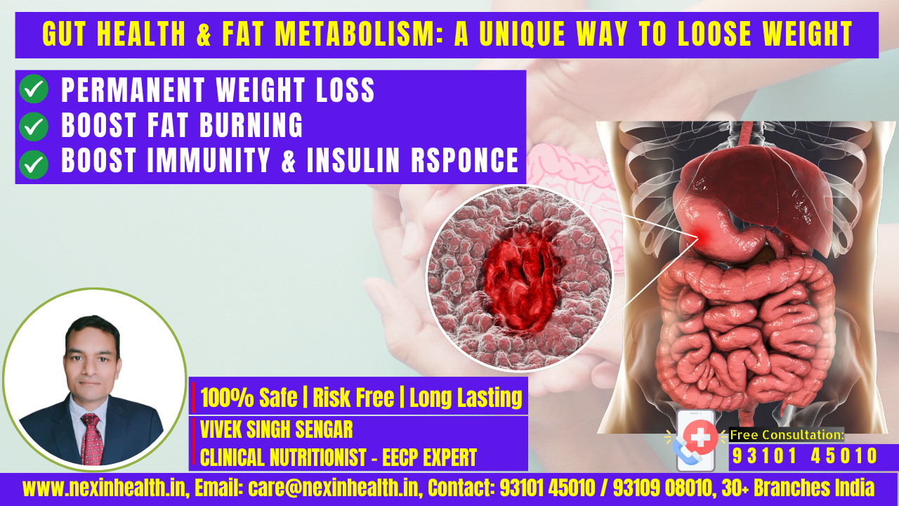Gut Health and Fat Metabolism: The Revolutionary Connection Transforming Weight Management