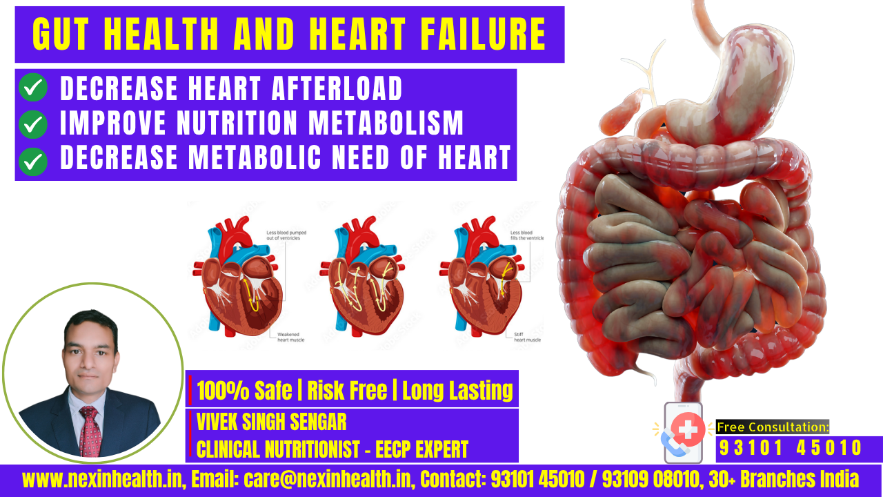 Gut Health and Heart Failure: The Hidden Connection Through Your Microbiome