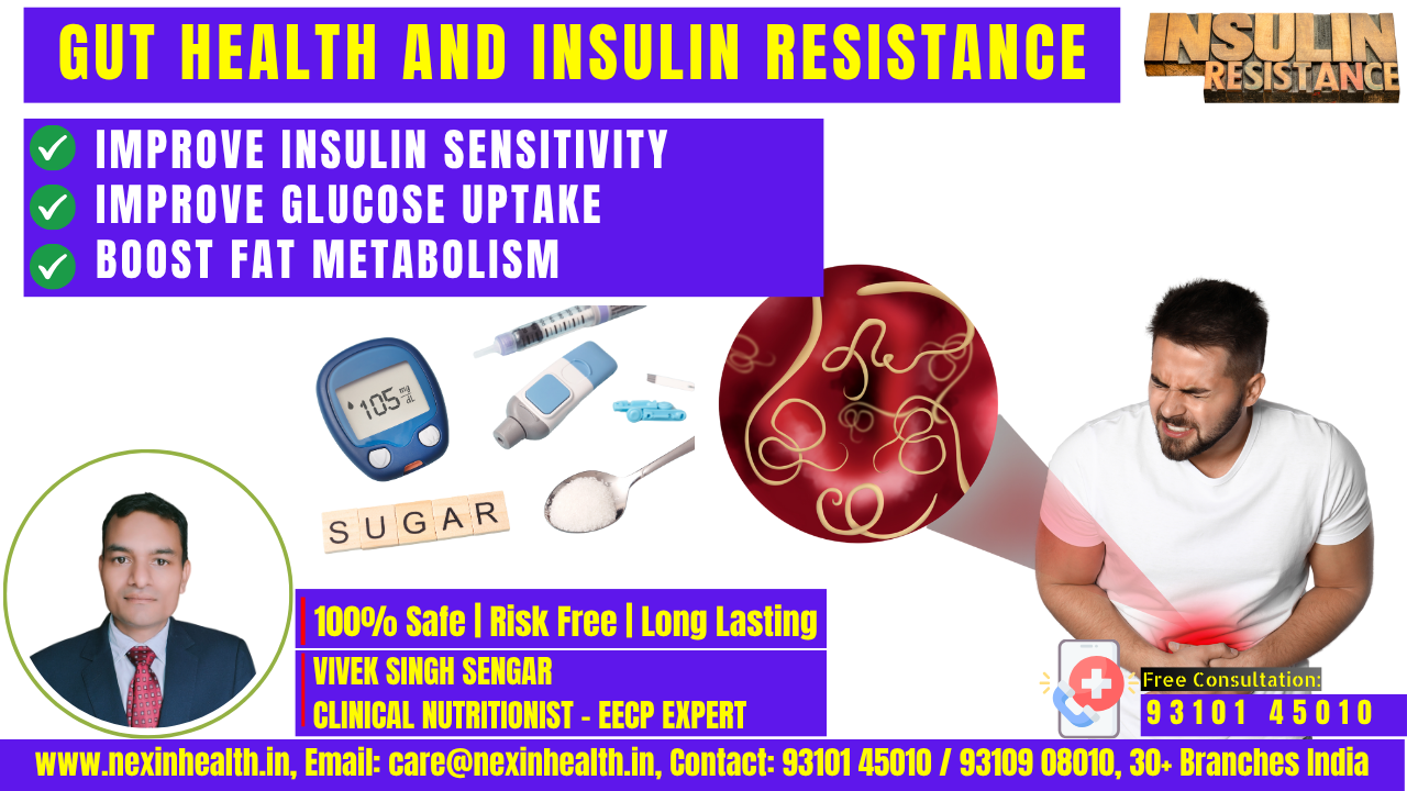 Gut Health and Insulin Resistance: The Hidden Key to Reversing Type 2 Diabetes