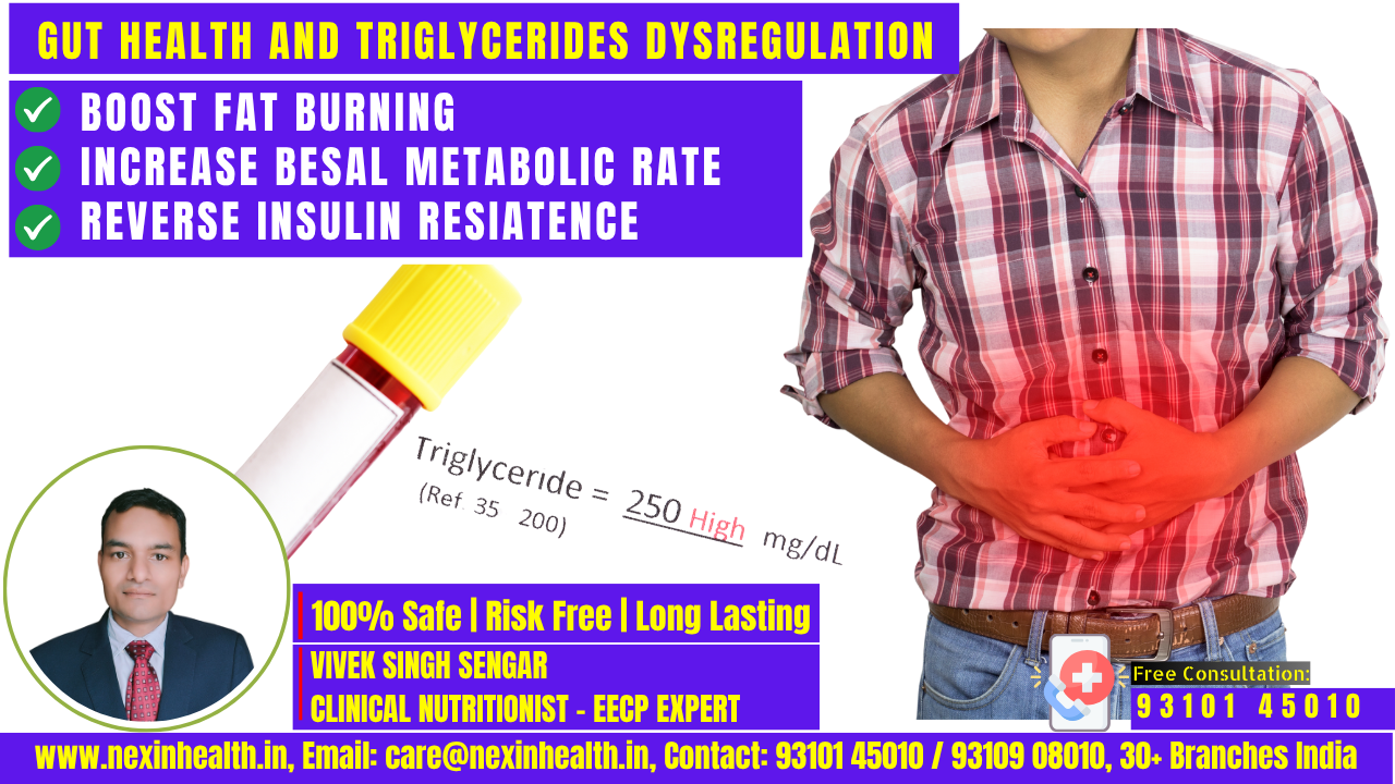 Gut Health and Triglycerides Dysregulation : How They Create a Dangerious Loop